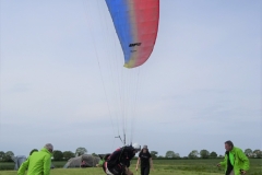 DSC03561-2